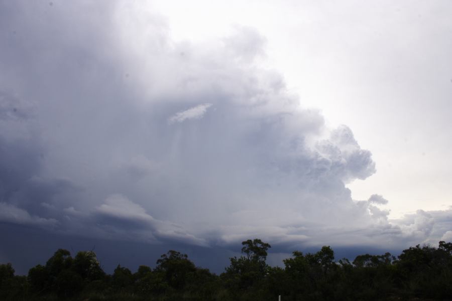 cumulonimbus thunderstorm_base : near Heathcote, NSW   1 March 2007