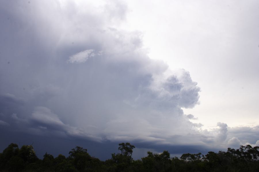 cumulonimbus thunderstorm_base : near Heathcote, NSW   1 March 2007