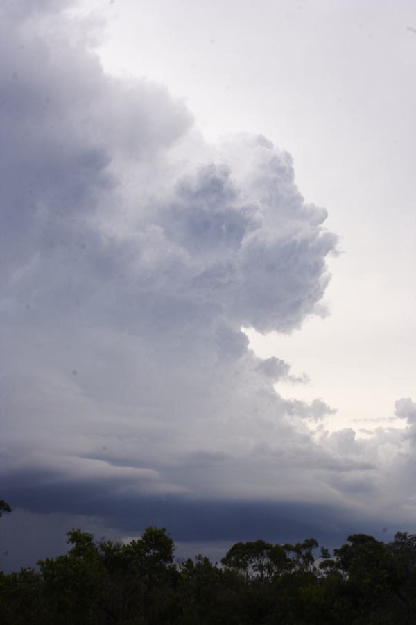 cumulonimbus thunderstorm_base : near Heathcote, NSW   1 March 2007