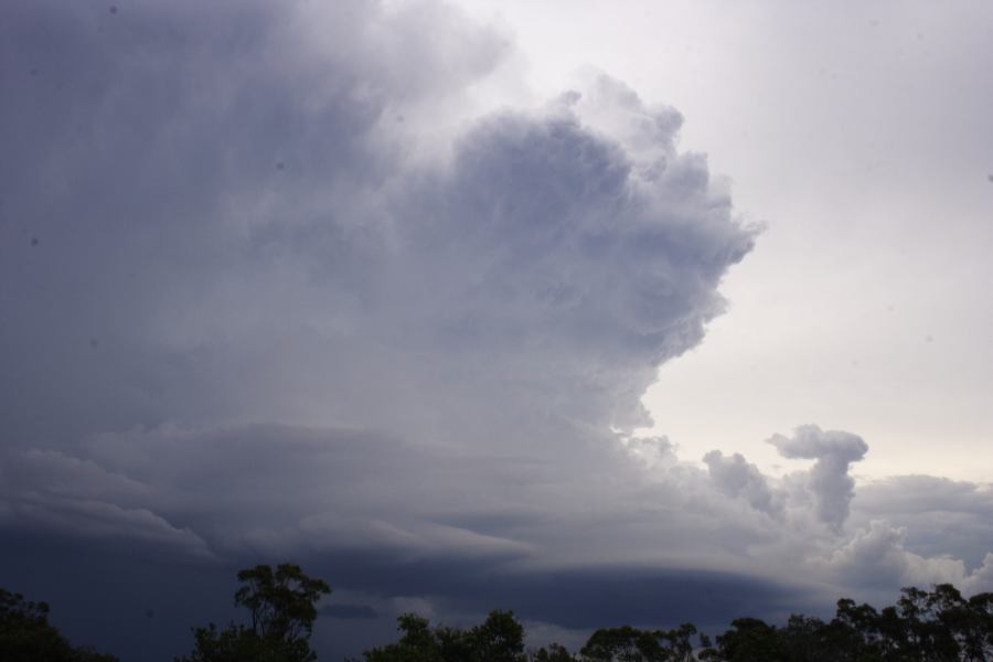 thunderstorm cumulonimbus_incus : near Heathcote, NSW   1 March 2007