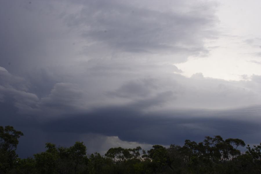 cumulonimbus thunderstorm_base : near Heathcote, NSW   1 March 2007