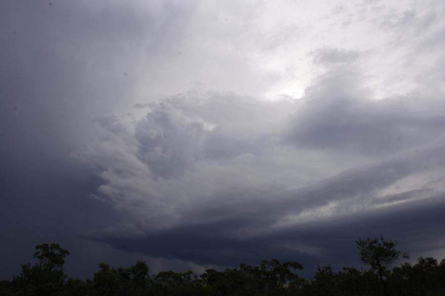 cumulonimbus thunderstorm_base : near Heathcote, NSW   1 March 2007