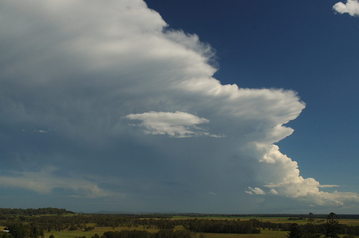 thunderstorm cumulonimbus_incus : Parrots Nest, NSW   2 March 2007