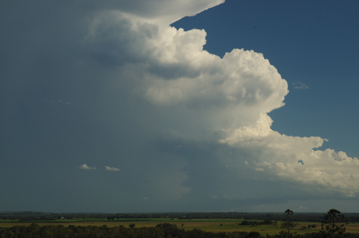 updraft thunderstorm_updrafts : Parrots Nest, NSW   2 March 2007