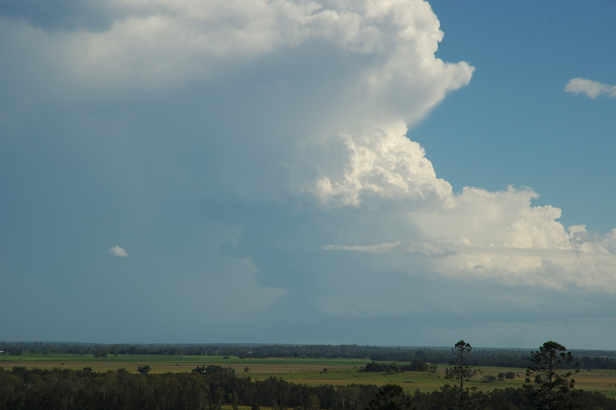 inflowband thunderstorm_inflow_band : Parrots Nest, NSW   2 March 2007