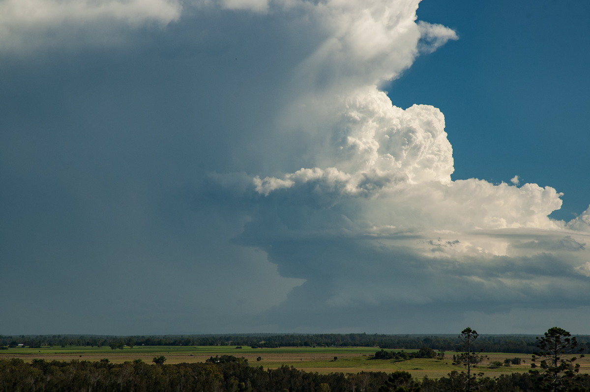 inflowband thunderstorm_inflow_band : Parrots Nest, NSW   2 March 2007