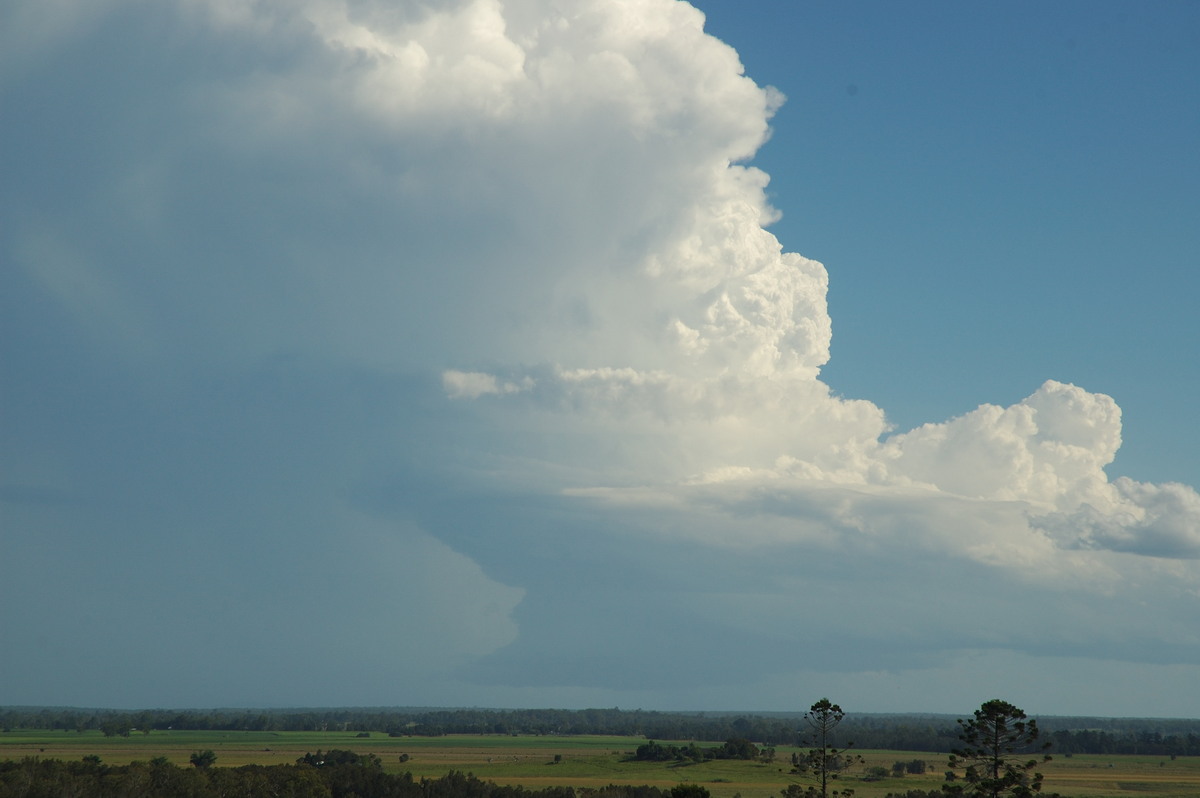 updraft thunderstorm_updrafts : Parrots Nest, NSW   2 March 2007