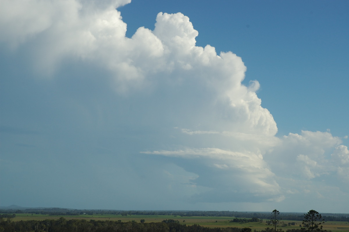 updraft thunderstorm_updrafts : Parrots Nest, NSW   2 March 2007