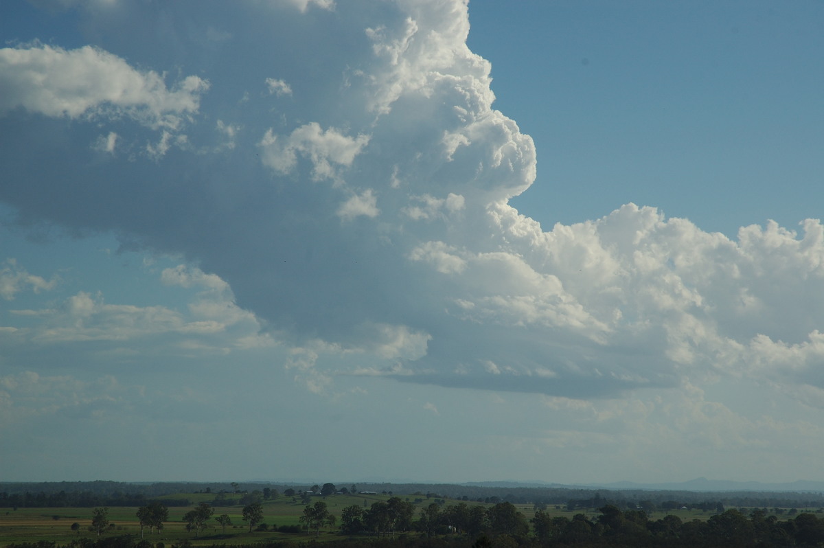 cumulus congestus : Parrots Nest, NSW   2 March 2007