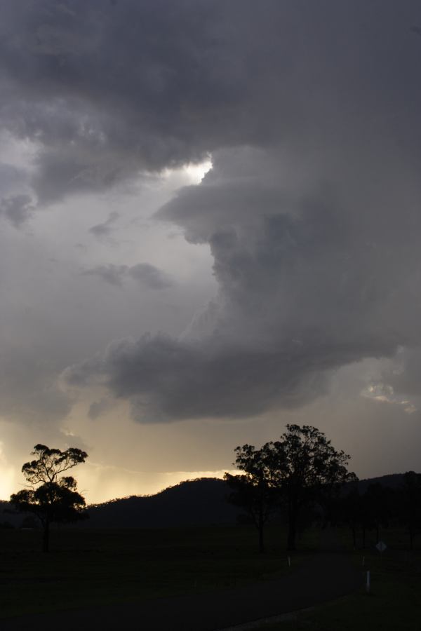 updraft thunderstorm_updrafts : near Bulga, NSW   4 March 2007