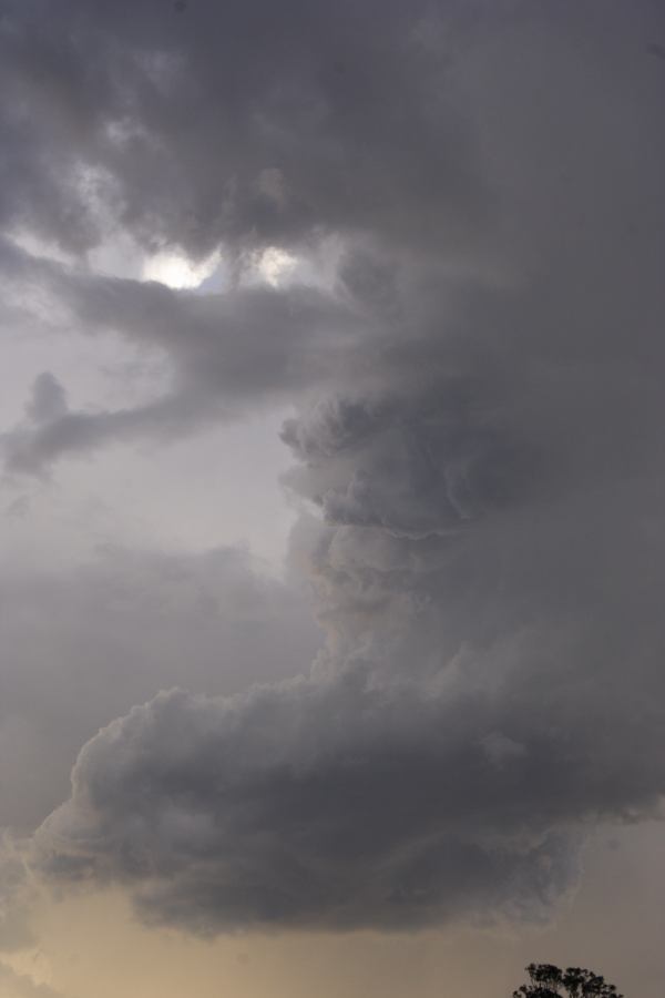 updraft thunderstorm_updrafts : near Bulga, NSW   4 March 2007