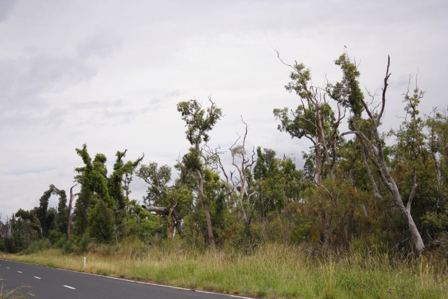 disasters storm_damage : 20km E of Coonabarabran, NSW   5 March 2007