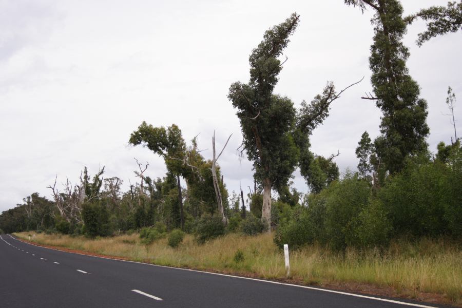 disasters storm_damage : 20km E of Coonabarabran, NSW   5 March 2007