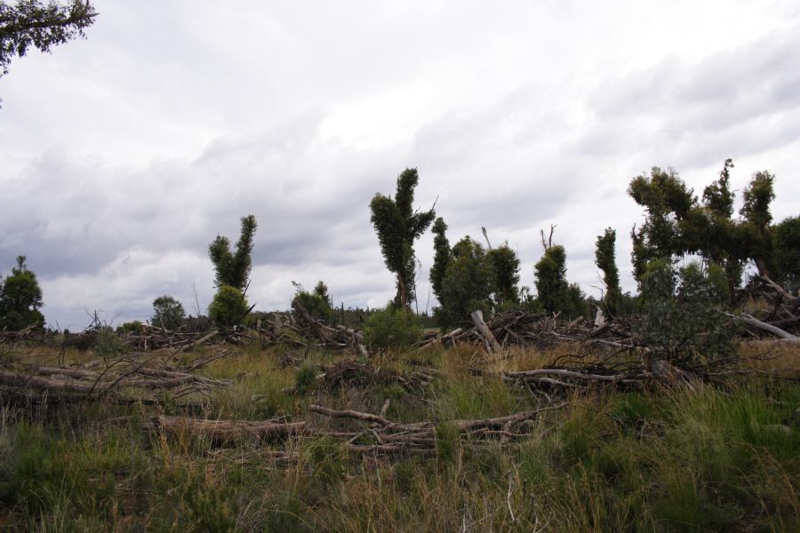 disasters storm_damage : 20km E of Coonabarabran, NSW   5 March 2007