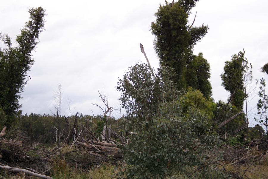 disasters storm_damage : 20km E of Coonabarabran, NSW   5 March 2007