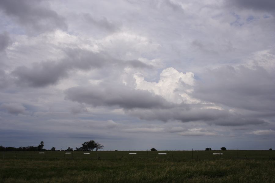 stratocumulus stratocumulus_cloud : Coonabarabran, NSW   5 March 2007