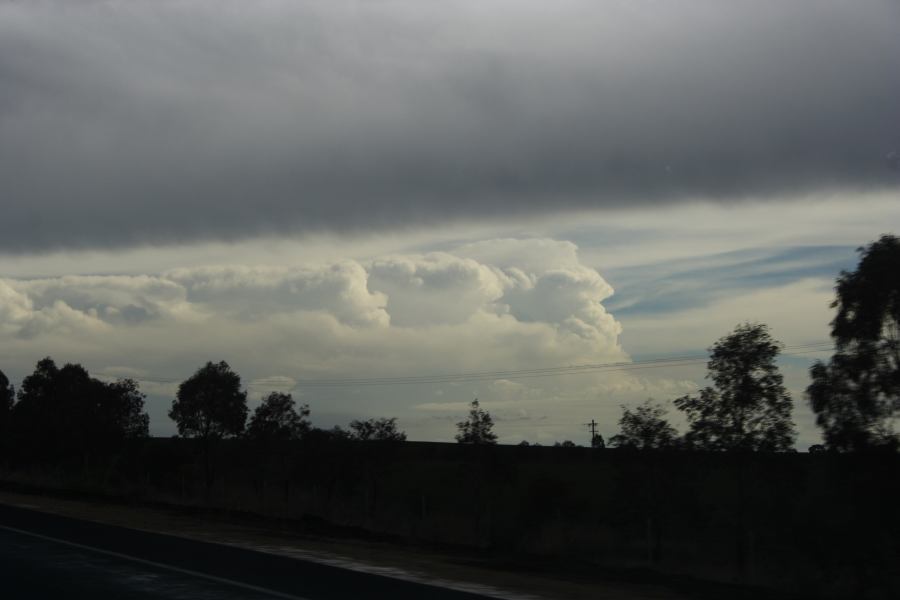 thunderstorm cumulonimbus_incus : 20km N of Gulgong, NSW   5 March 2007