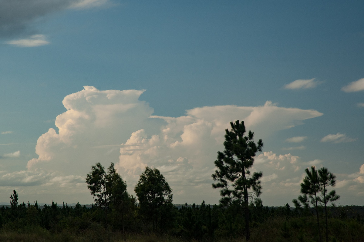 thunderstorm cumulonimbus_incus : Whiporie, NSW   5 March 2007