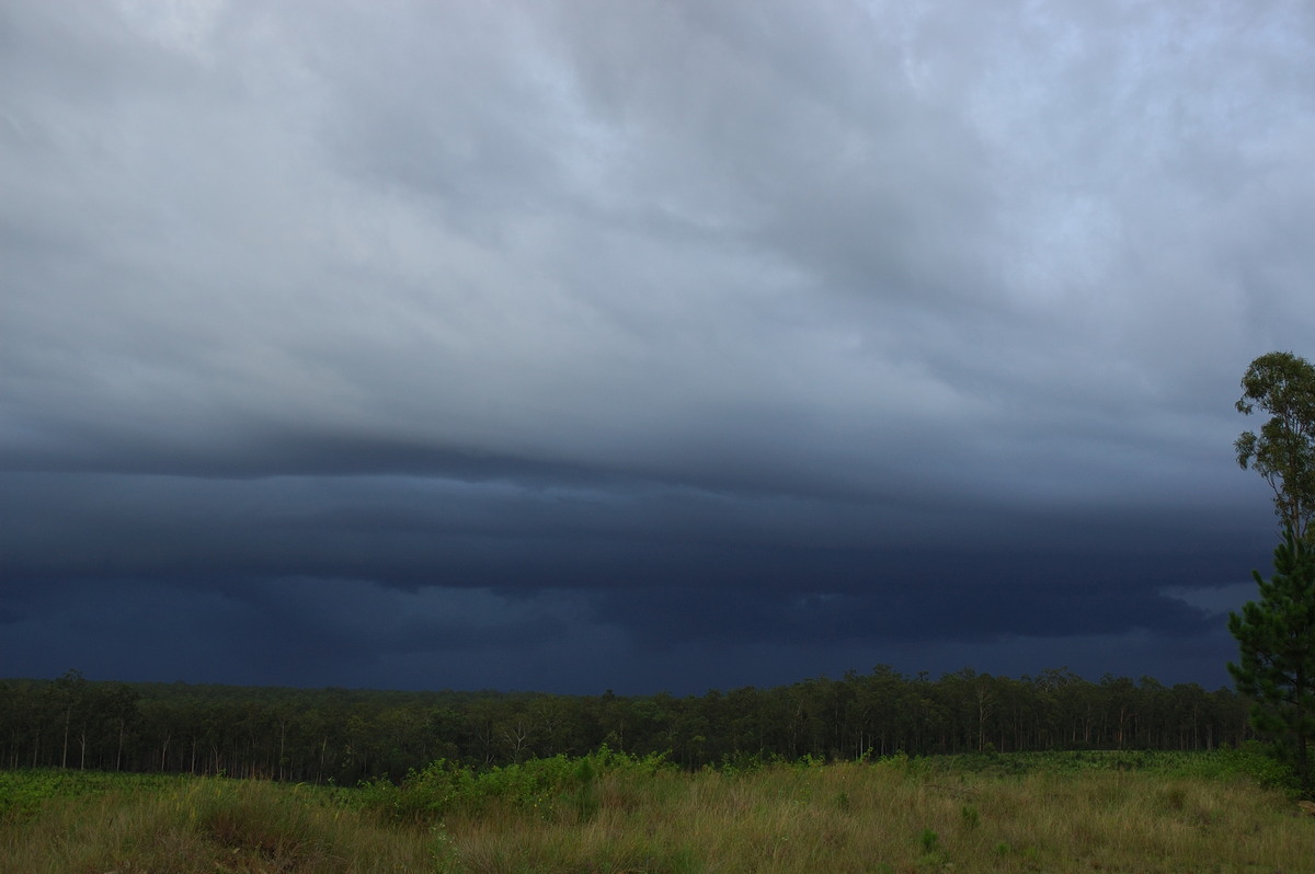 shelfcloud shelf_cloud : Whiporie, NSW   5 March 2007