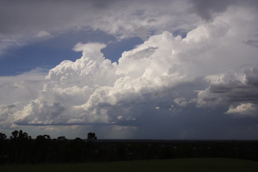 pileus pileus_cap_cloud : Rooty Hill, NSW   8 March 2007