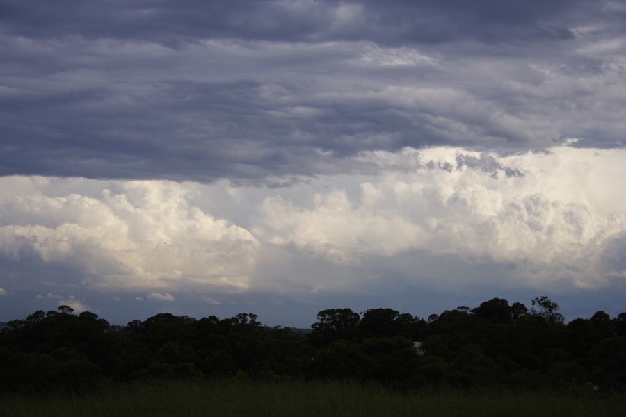 thunderstorm cumulonimbus_incus : Rooty Hill, NSW   8 March 2007