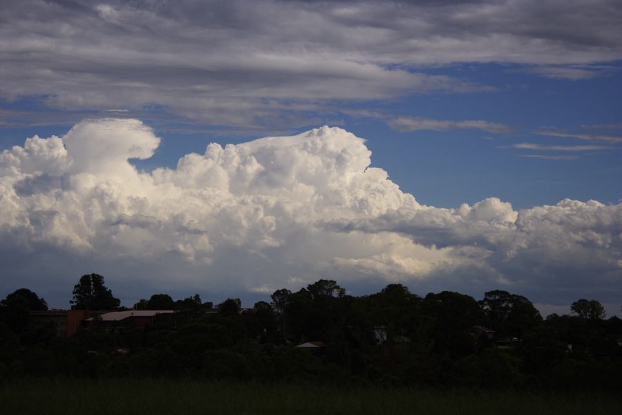 pileus pileus_cap_cloud : Rooty Hill, NSW   8 March 2007