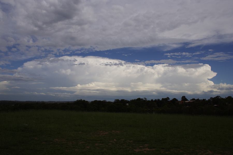 altocumulus altocumulus_cloud : Rooty Hill, NSW   8 March 2007