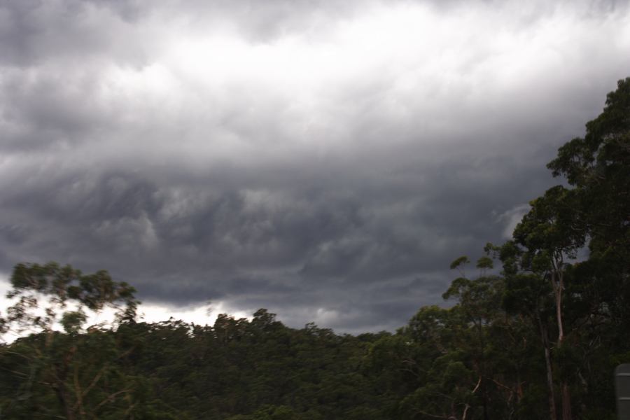 cumulonimbus thunderstorm_base : near Engadine, NSW   8 March 2007