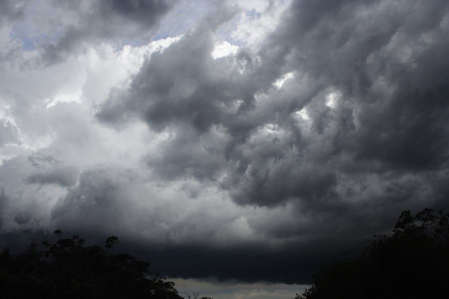 thunderstorm cumulonimbus_calvus : near Sutherland, NSW   8 March 2007