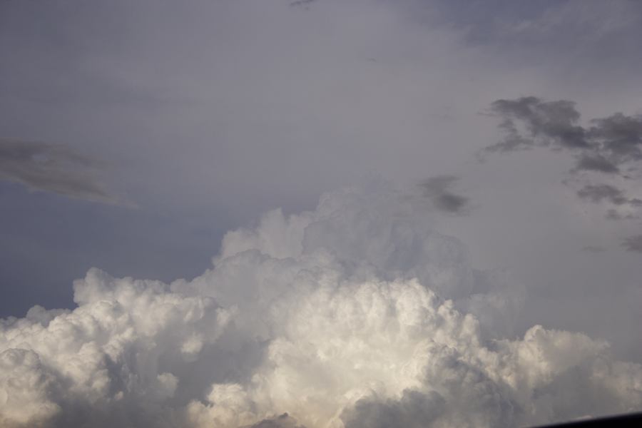 updraft thunderstorm_updrafts : near Padstow, NSW   8 March 2007