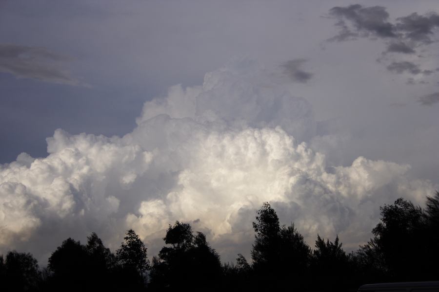 thunderstorm cumulonimbus_calvus : near Padstow, NSW   8 March 2007