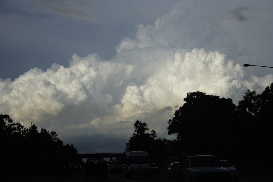 thunderstorm cumulonimbus_calvus : near Padstow, NSW   8 March 2007