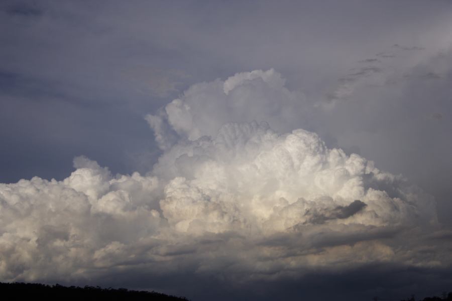 updraft thunderstorm_updrafts : near Padstow, NSW   8 March 2007