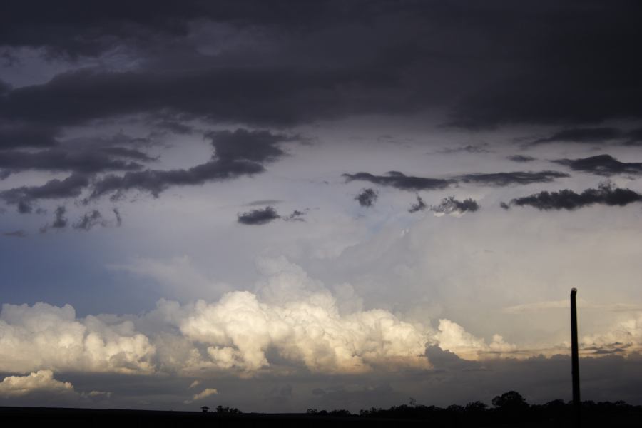 thunderstorm cumulonimbus_calvus : near Rooty Hill, NSW   8 March 2007