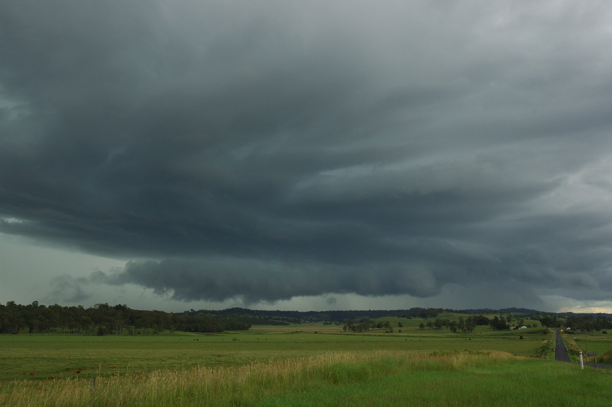 cumulonimbus thunderstorm_base : NW of Lismore, NSW   8 March 2007