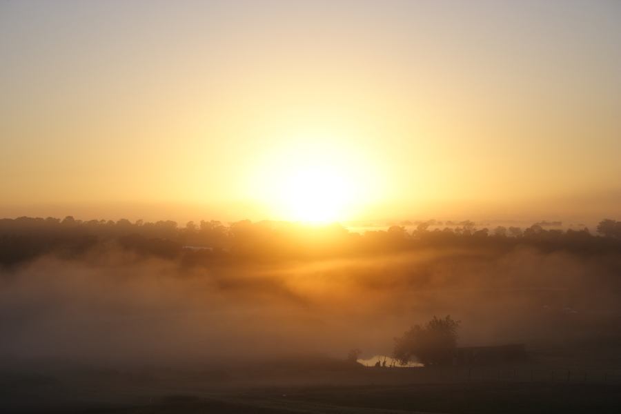 fogmist fog_mist_frost : Schofields, NSW   14 March 2007