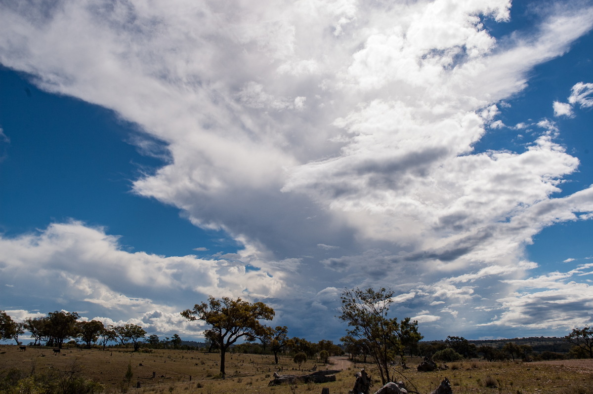 thunderstorm cumulonimbus_incus : W of Tenterfield, NSW   25 March 2007