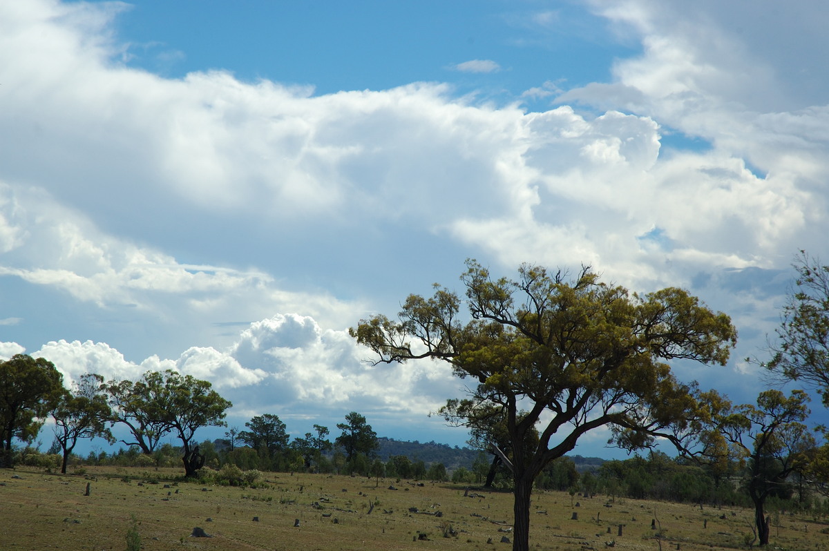 thunderstorm cumulonimbus_incus : W of Tenterfield, NSW   25 March 2007