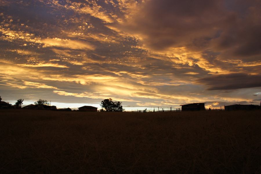 altostratus altostratus_cloud : Schofields, NSW   29 March 2007