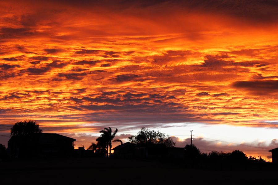 altostratus altostratus_cloud : Schofields, NSW   29 March 2007