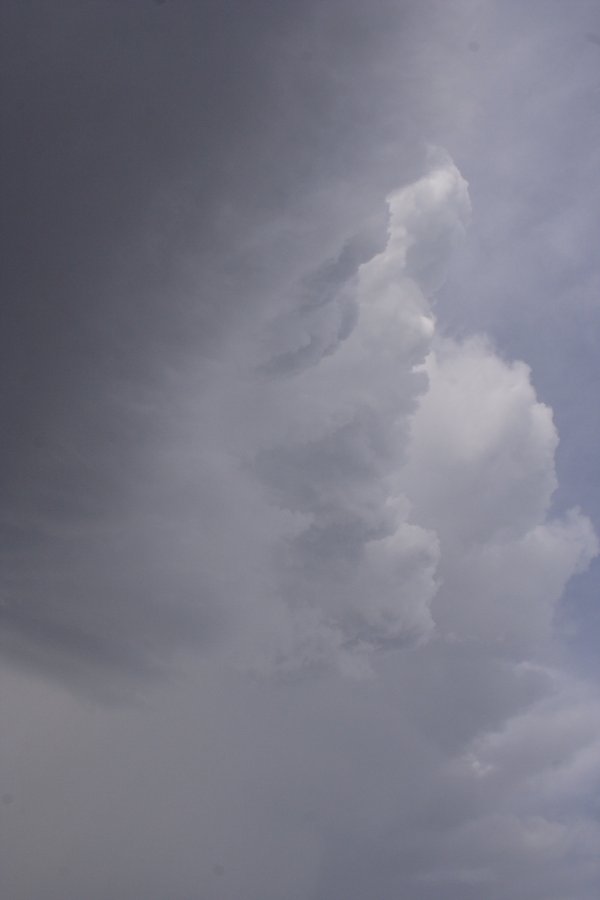 cumulonimbus supercell_thunderstorm : S of White Deer, Texas, USA   23 April 2007