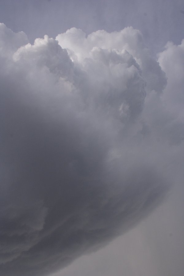 cumulonimbus supercell_thunderstorm : S of White Deer, Texas, USA   23 April 2007