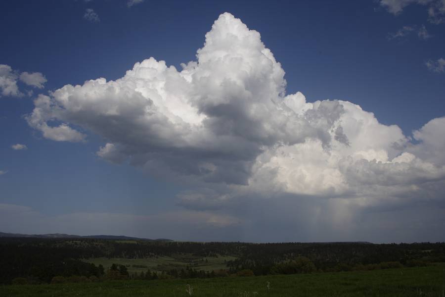 cumulus mediocris : near Devil's Tower, Wyoming, USA   18 May 2007