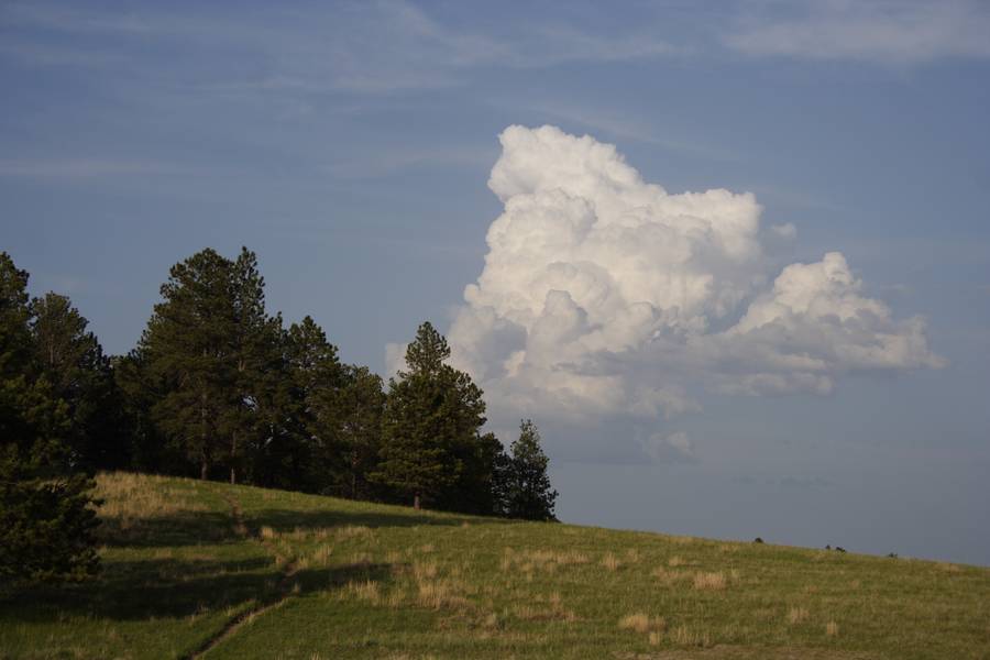 cumulus congestus : Devil's Tower, Wyoming, USA   18 May 2007
