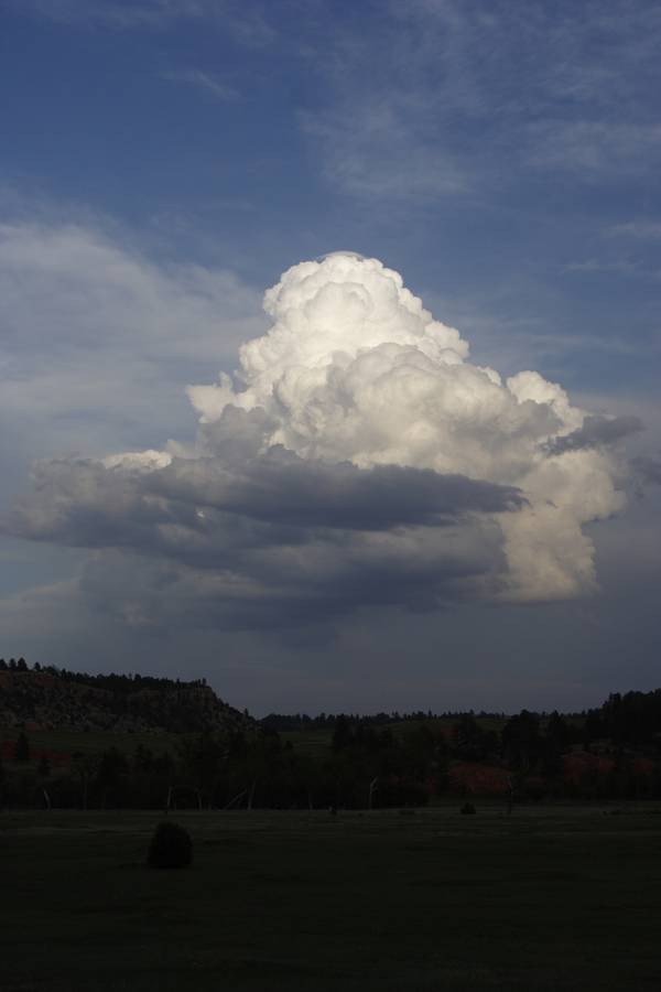 cumulus congestus : near Devil's Tower, Wyoming, USA   18 May 2007