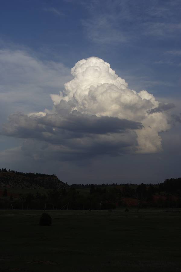 cumulus congestus : near Devil's Tower, Wyoming, USA   18 May 2007