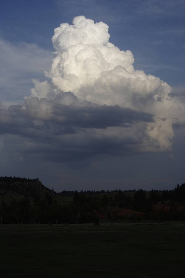 cumulus congestus : near Devil's Tower, Wyoming, USA   18 May 2007