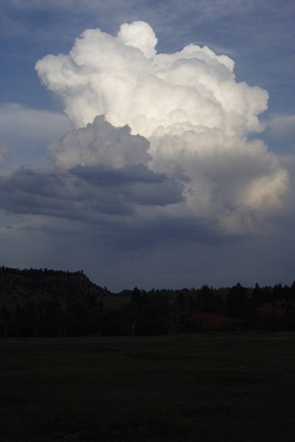 thunderstorm cumulonimbus_calvus : near Devil's Tower, Wyoming, USA   18 May 2007