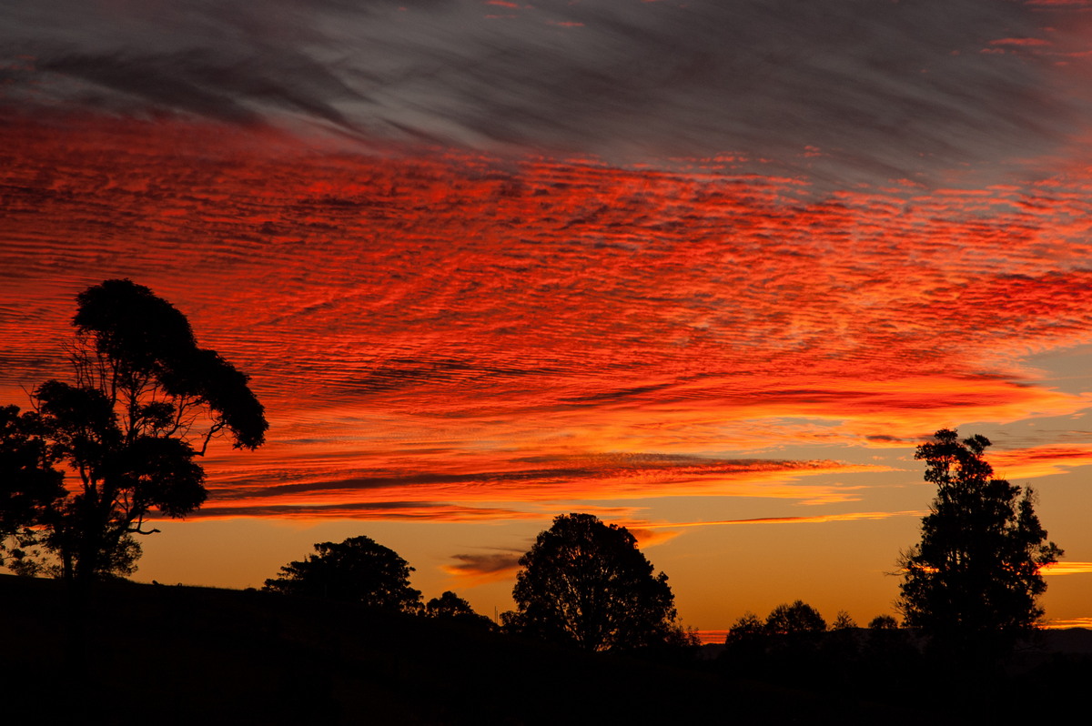 sunset sunset_pictures : McLeans Ridges, NSW   22 May 2007