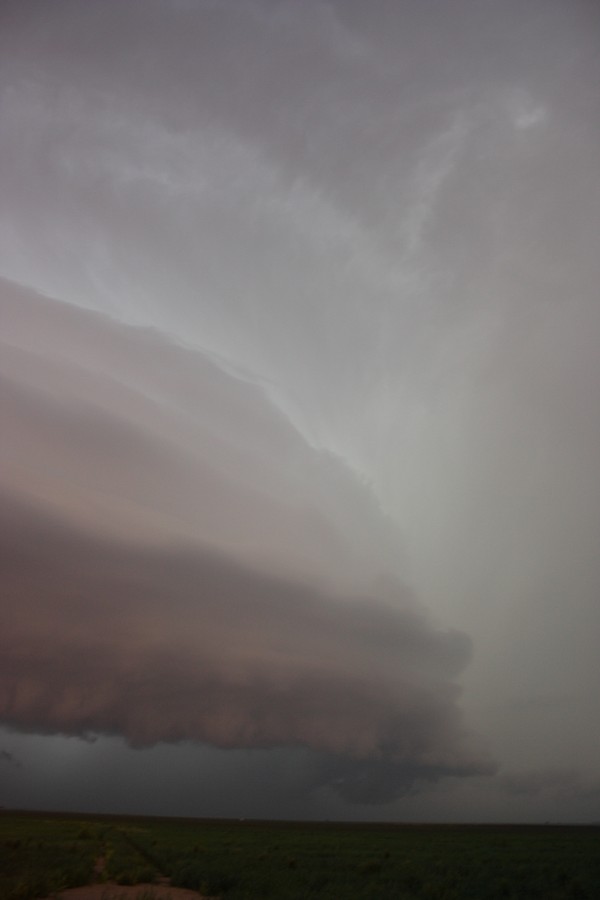 cumulonimbus thunderstorm_base : S of Darrouzett, Texas, USA   23 May 2007